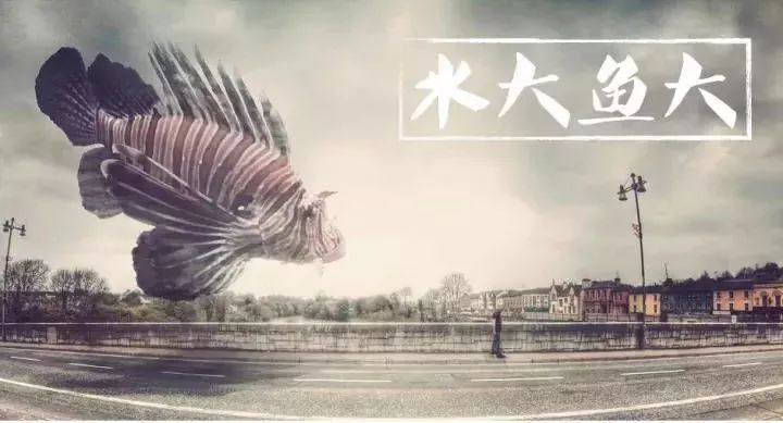 重磅推荐 ┃《激荡十年，水大鱼大》一部属于我们的时代激荡史